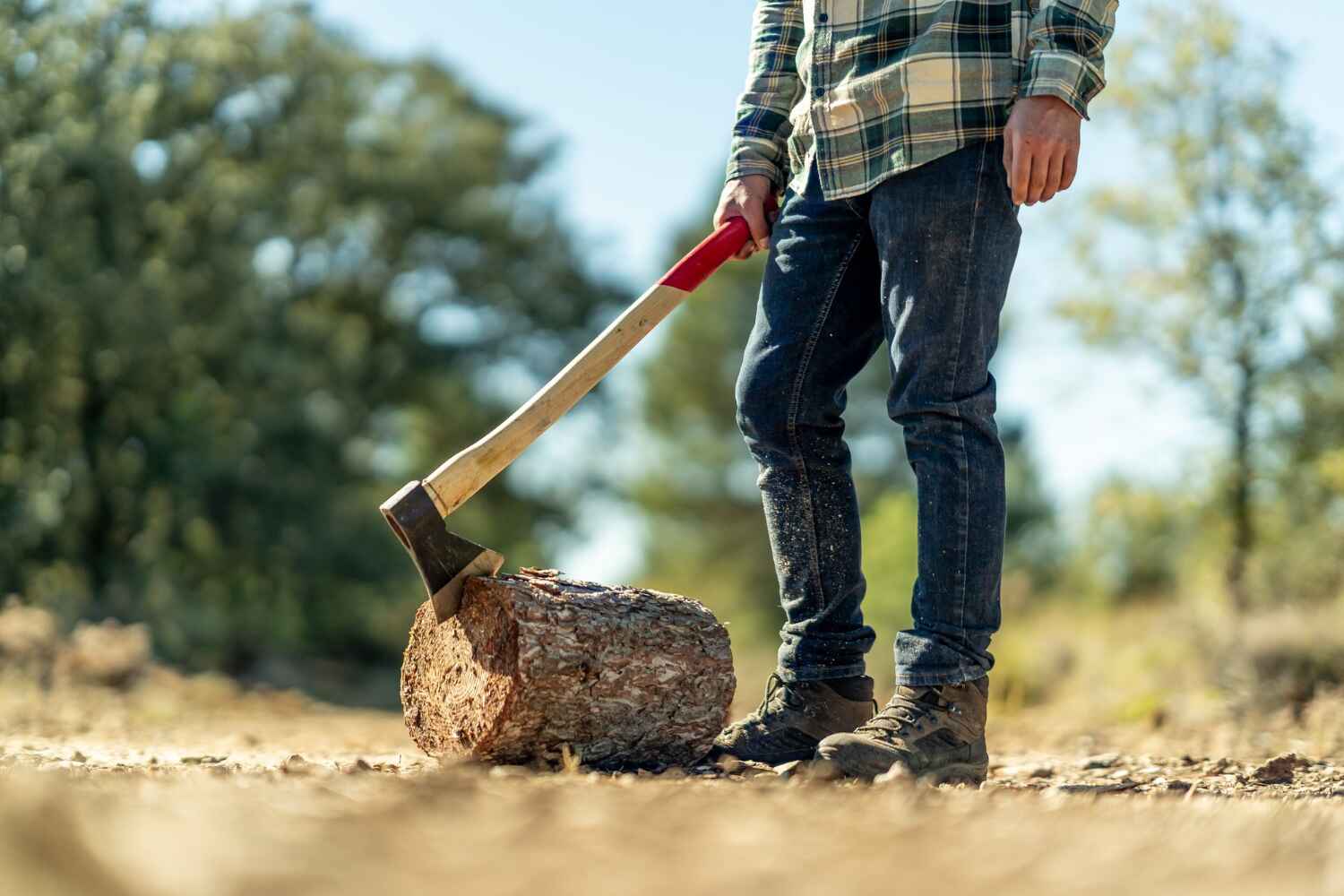 Reliable Auburn, IN Tree Service Solutions